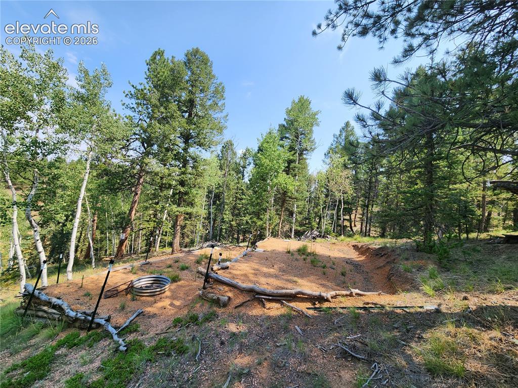 Image 39 of 39: Expansive wooded property with diverse mature trees, featuring a clear, lev