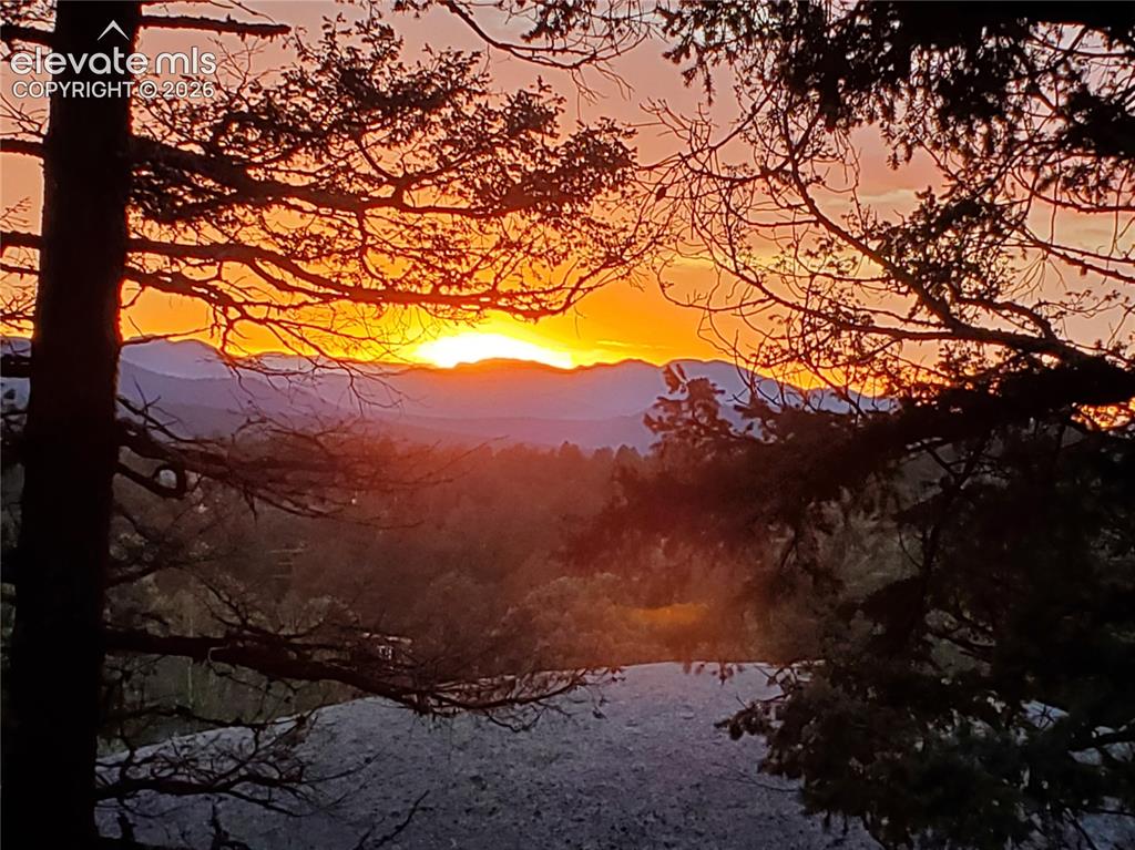 Image 6 of 39: Other