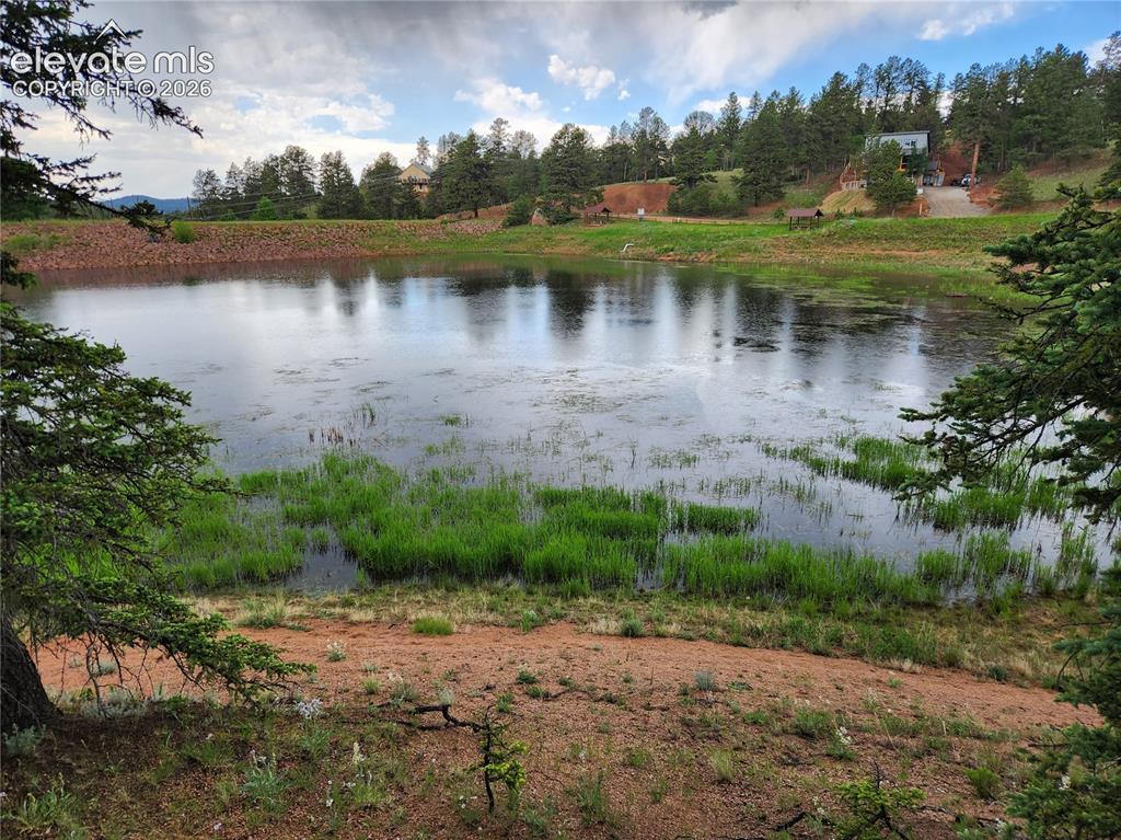 Image 9 of 39: Natural water feature surrounded by lush greenery and mature trees