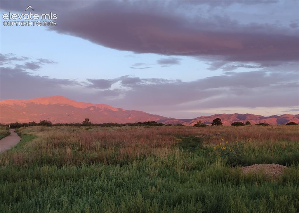 Image 46 of 47: Nearby view