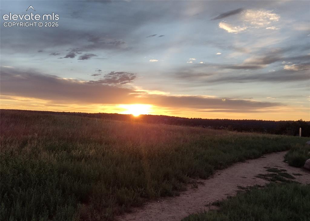 Image 47 of 47: Nearby view at sunset