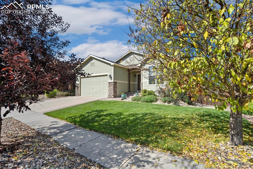 Image 19 of 34: Front of Structure