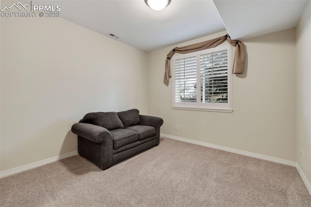 Image 38 of 50: Basement bedroom