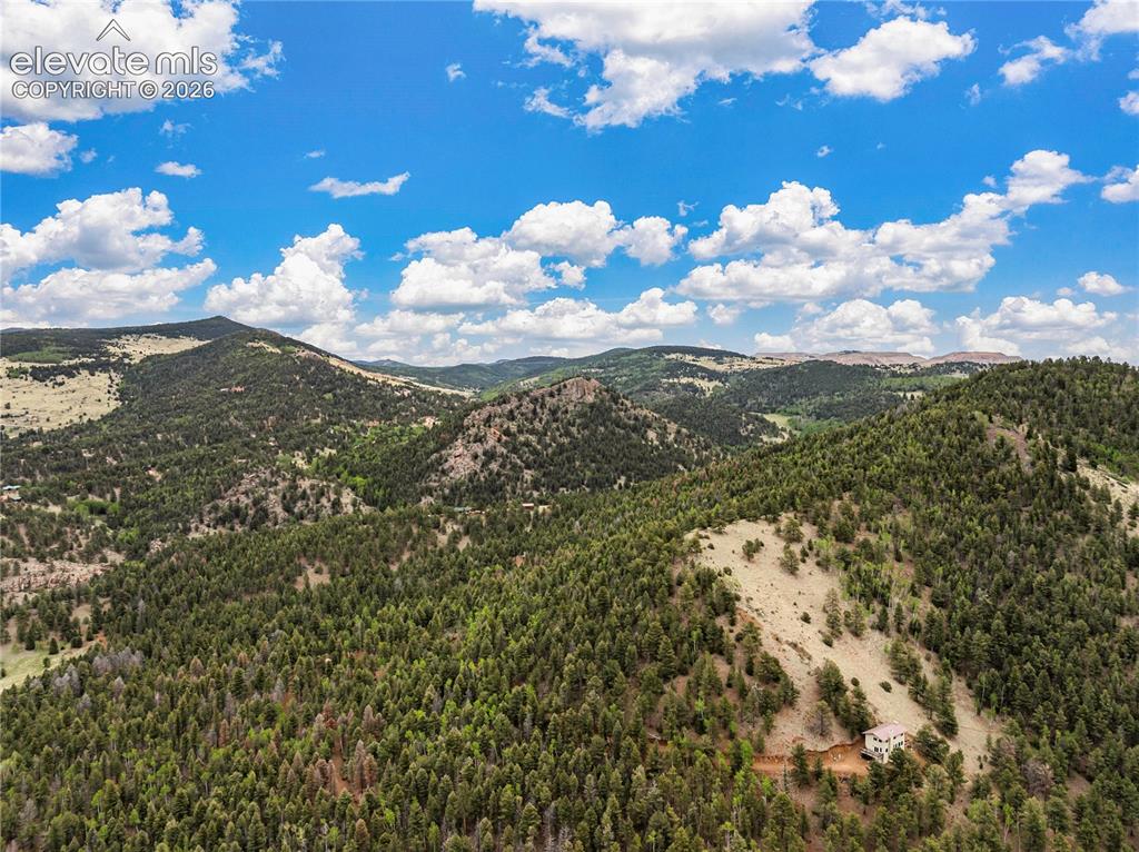 Image 3 of 31: With views and trees for miles...