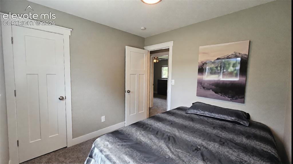 Image 21 of 31: Neutral wall paint, white trim, and carpeted flooring