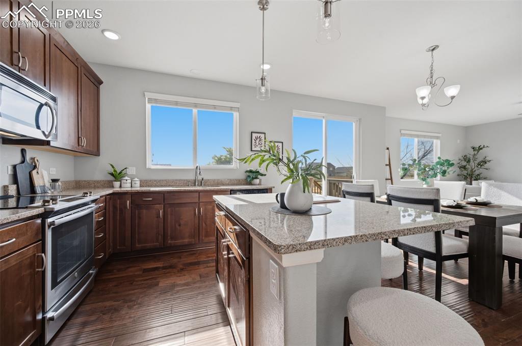 Image 14 of 49: Open-concept kitchen featuring dark wood cabinetry, stainless steel applian