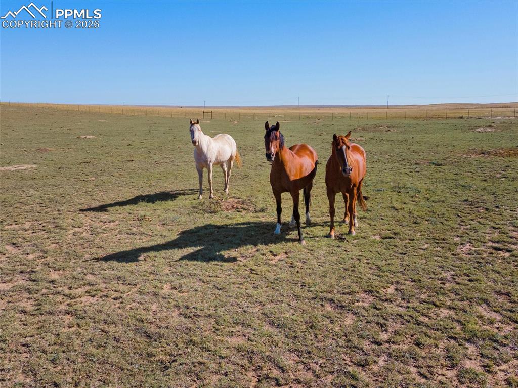 Image 41 of 41: Other