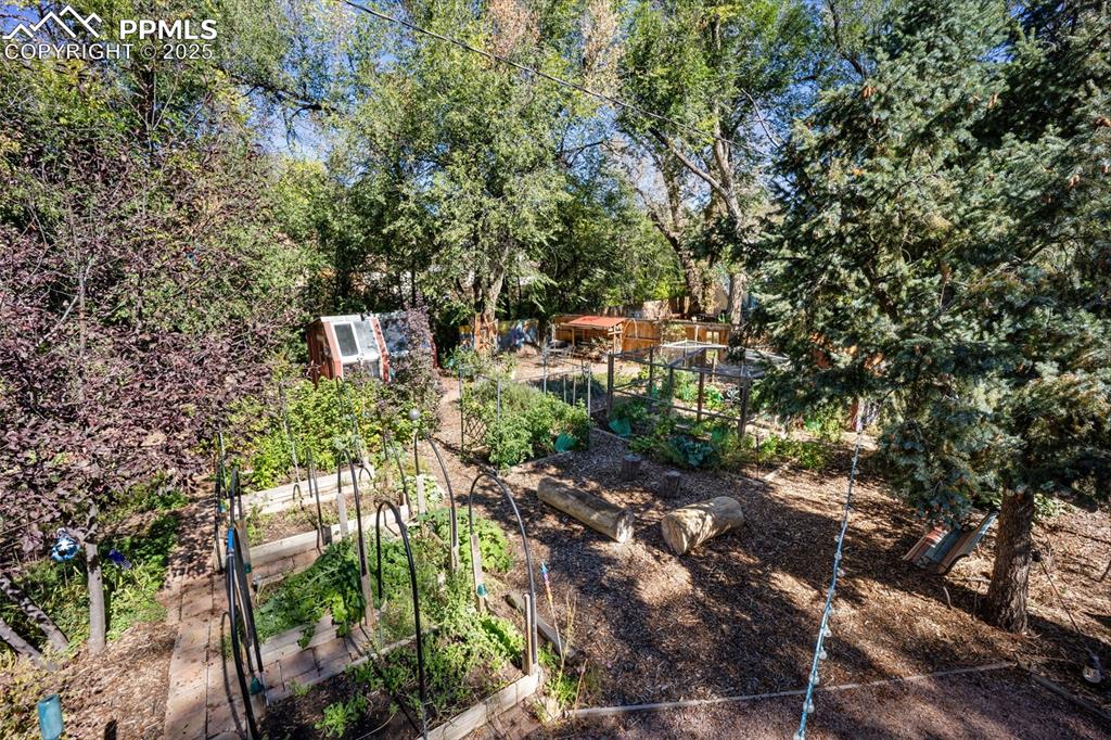 Image 34 of 47: Yard