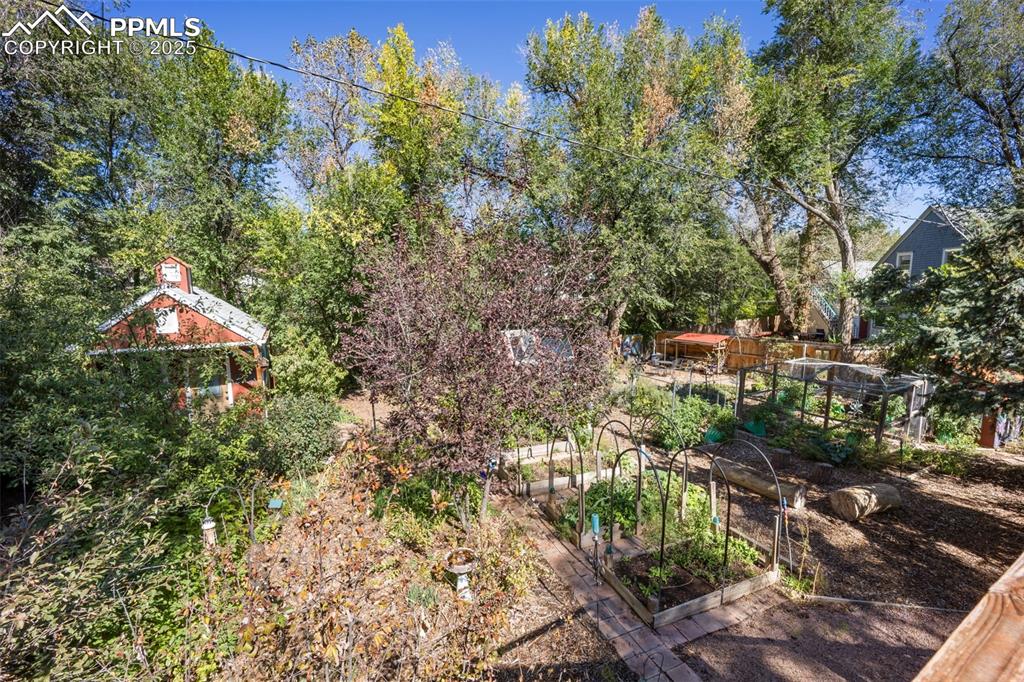 Image 35 of 47: Yard