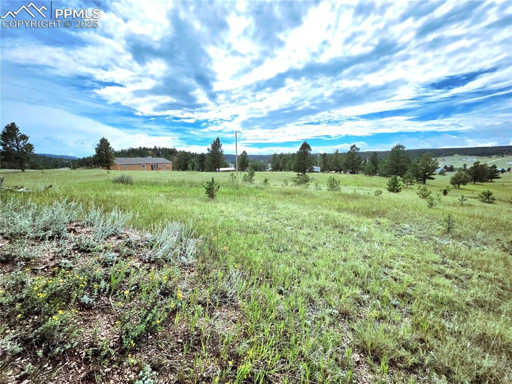 Image 47 of 50: 2 acre lot