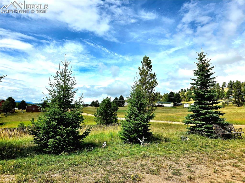 Image 7 of 50: Front yard near driveway