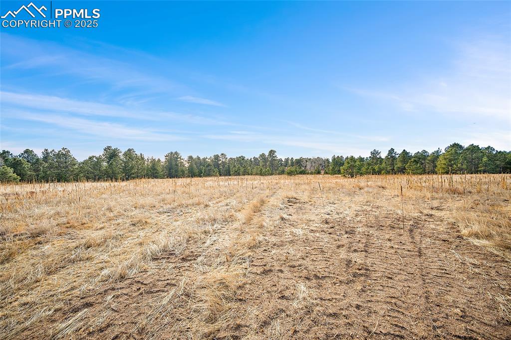 Image 15 of 19: Other