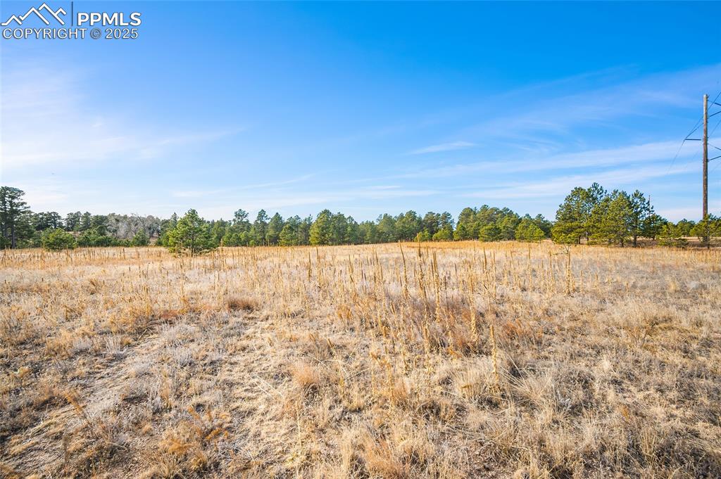 Image 16 of 19: Other