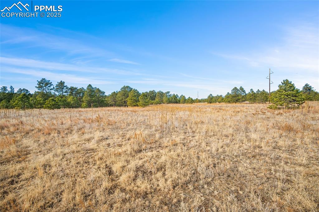 Image 17 of 19: Other