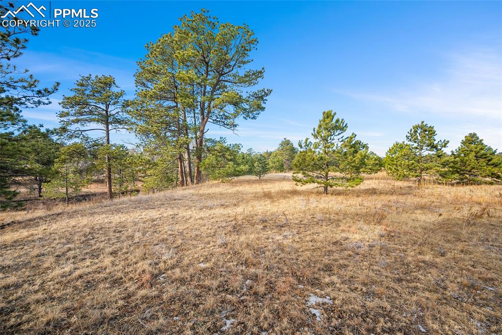 Image 19 of 19: Other