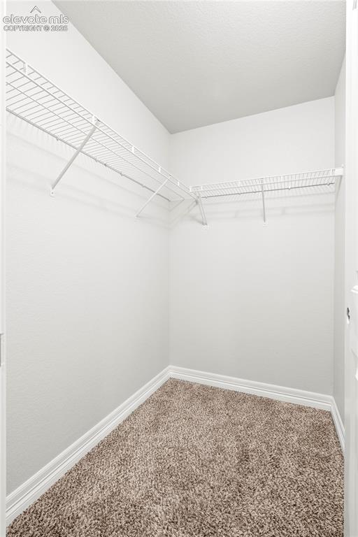 Image 20 of 48: 3 Bedroom walk in closet basement
