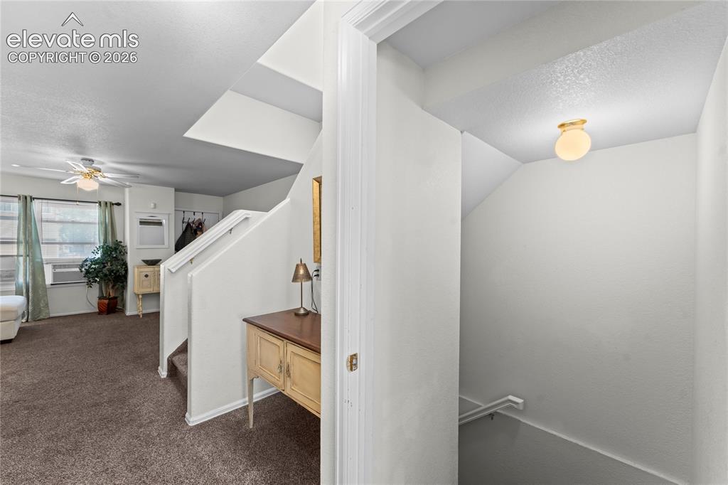 Image 20 of 43: Carpeted flooring, white interior walls, and a ceiling-mounted light fixtur