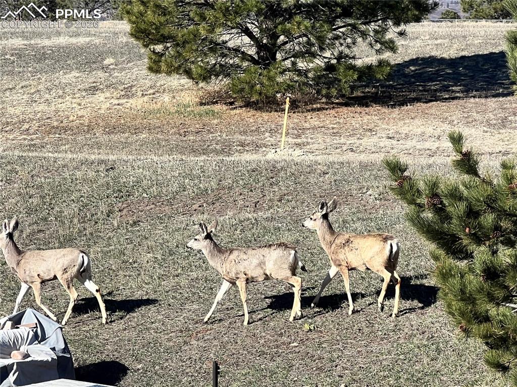 Image 39 of 39: Low-maintenance living. Elevated surroundings. A setting designed to slow l