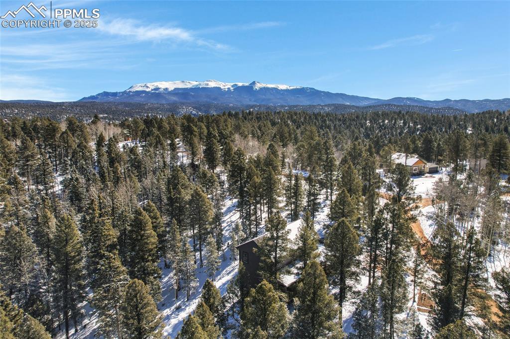 Image 44 of 47: Aerial View