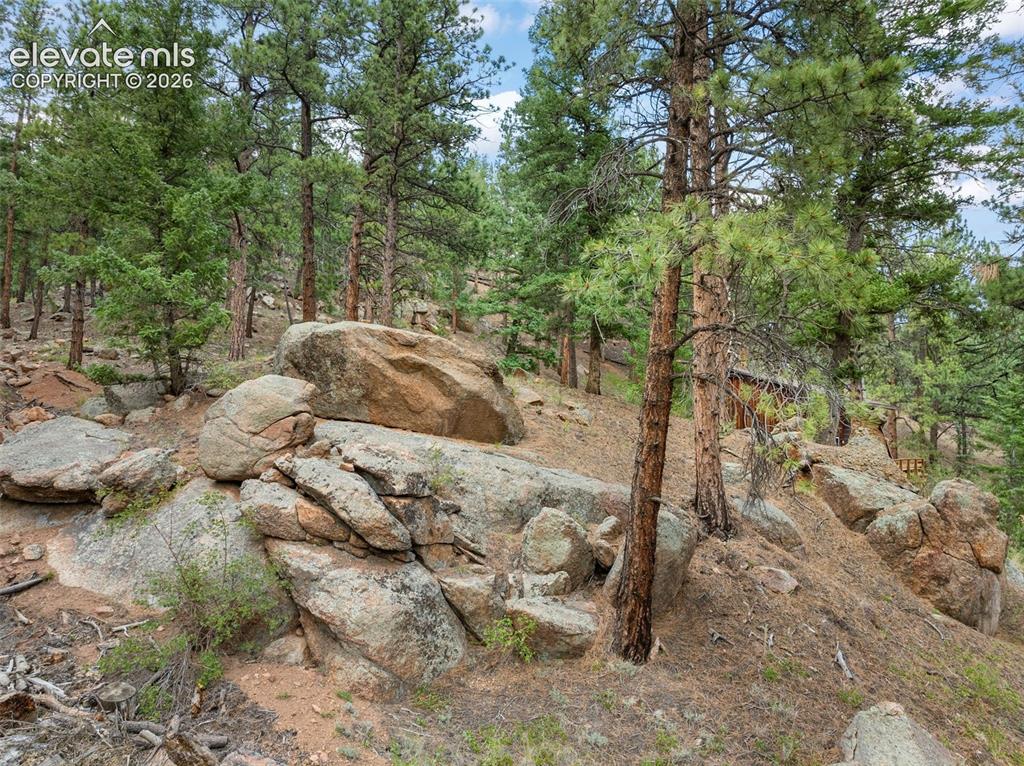 Image 12 of 26: Other