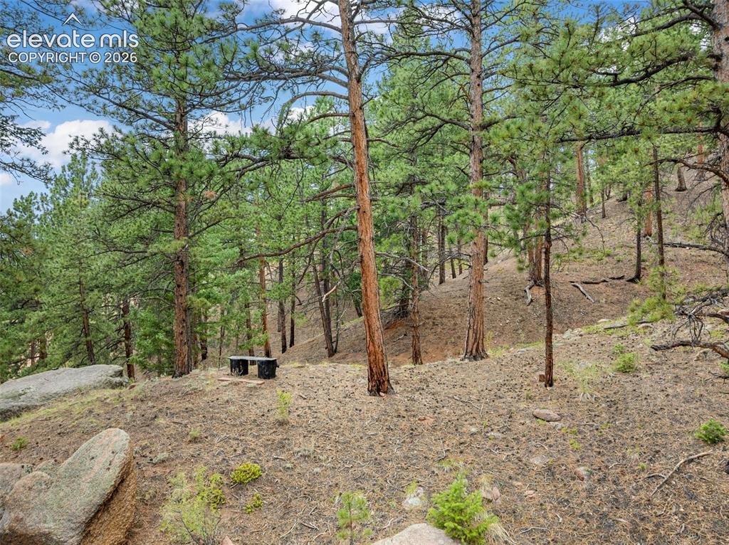 Image 8 of 26: Other