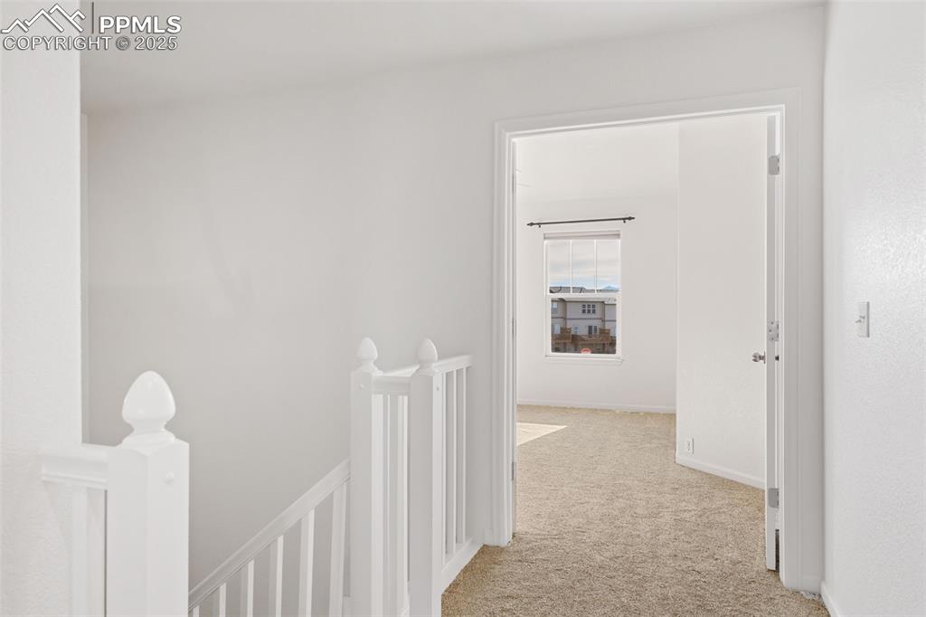 Image 19 of 34: Other