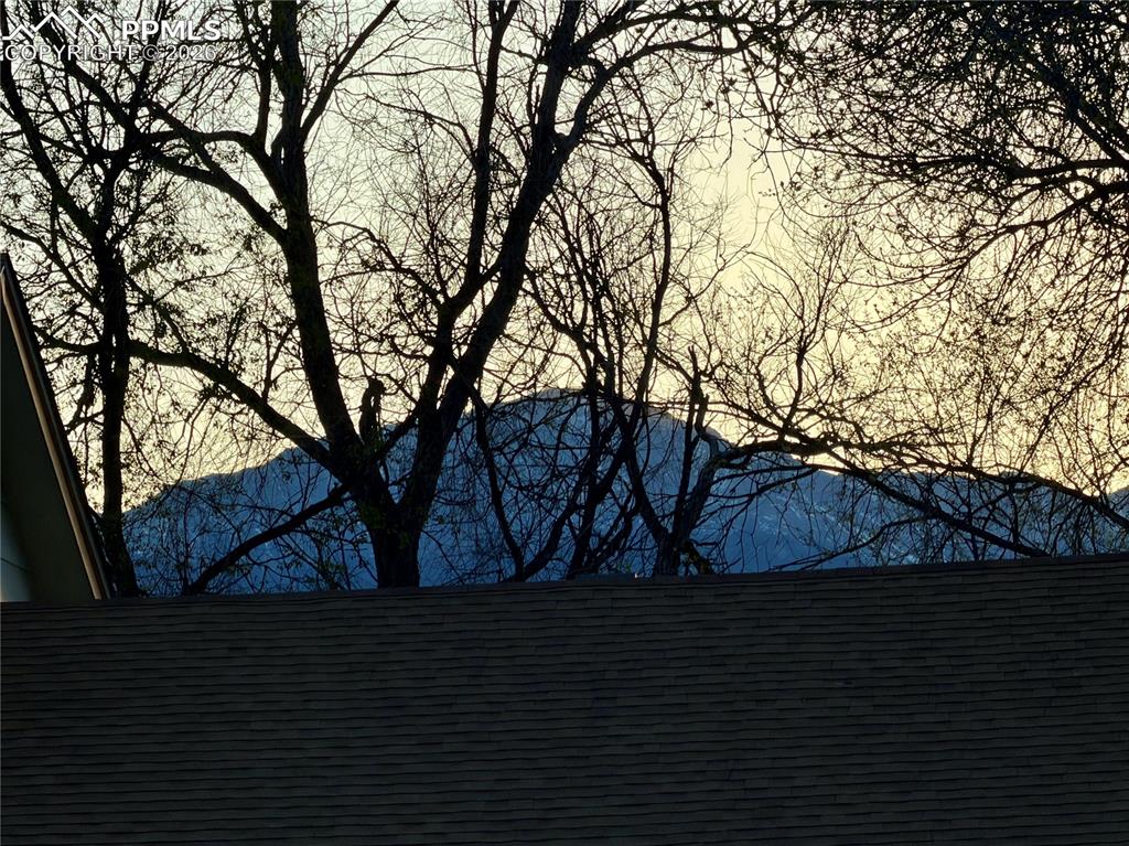 Image 3 of 41: Other