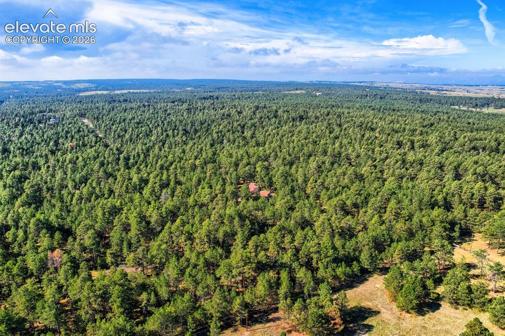 Image 50 of 50: Aerial View