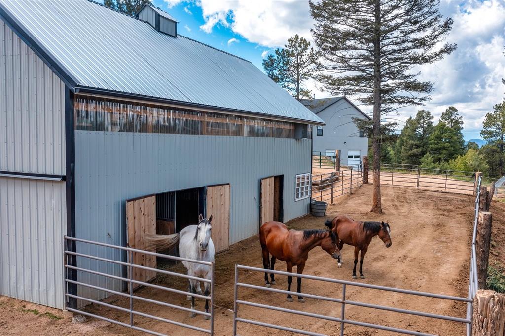 Image 4 of 50: Stable