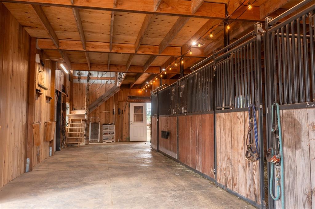 Image 44 of 50: Stable