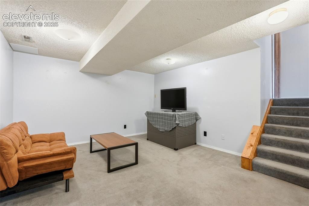Image 28 of 45: Carpeted lower level with light gray walls
