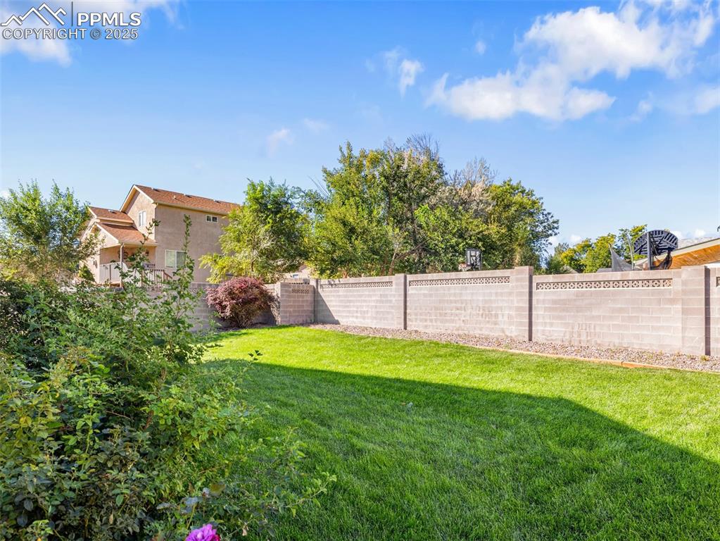 Image 31 of 37: Yard