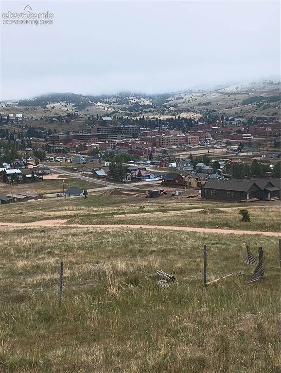 Caption: View