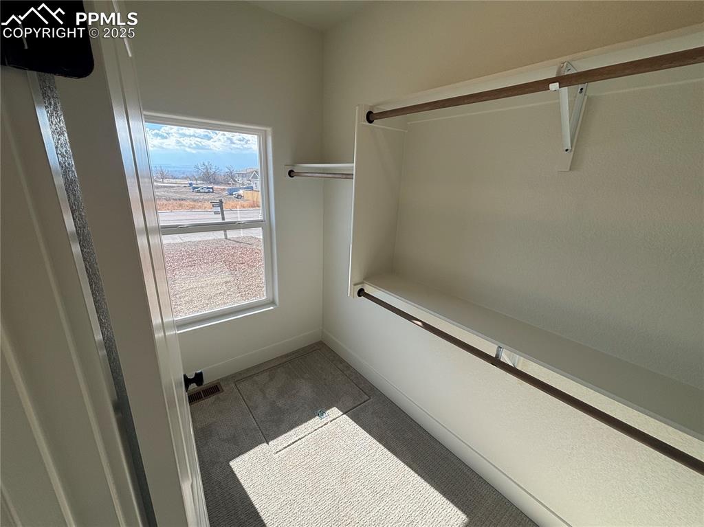 Image 18 of 19: Spacious closet featuring light colored carpet