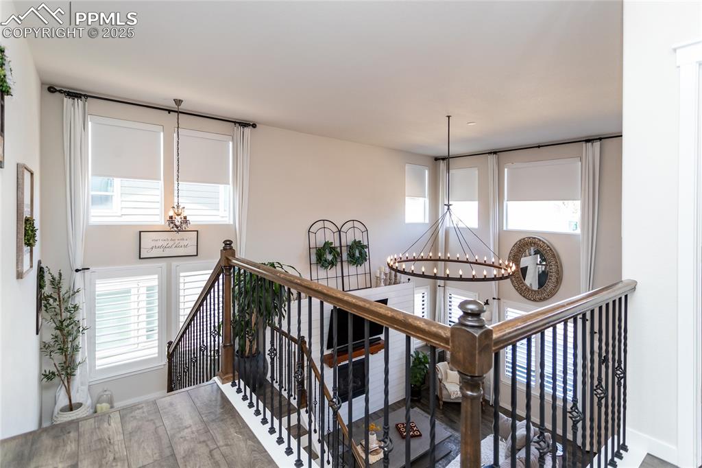 Image 9 of 50: Other