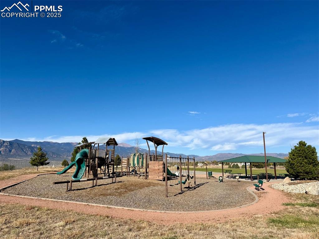 Image 42 of 43: Other