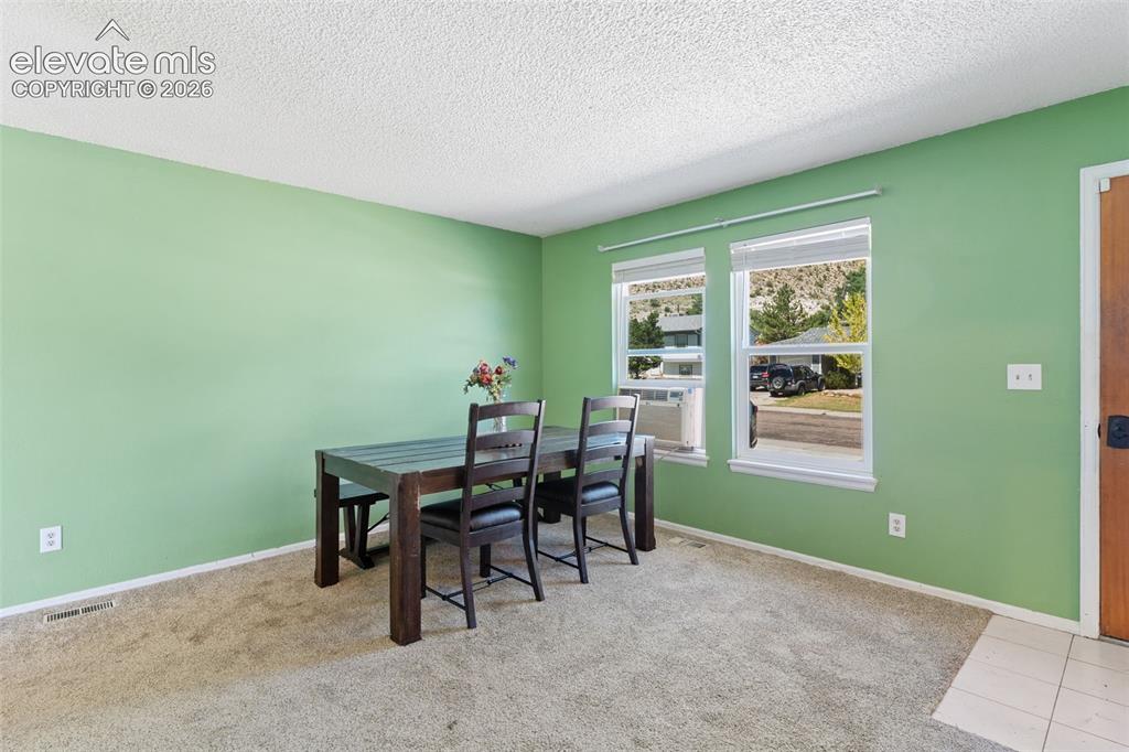 Image 8 of 36: Bright dining room showcasing soft green walls, neutral carpeting, and abun
