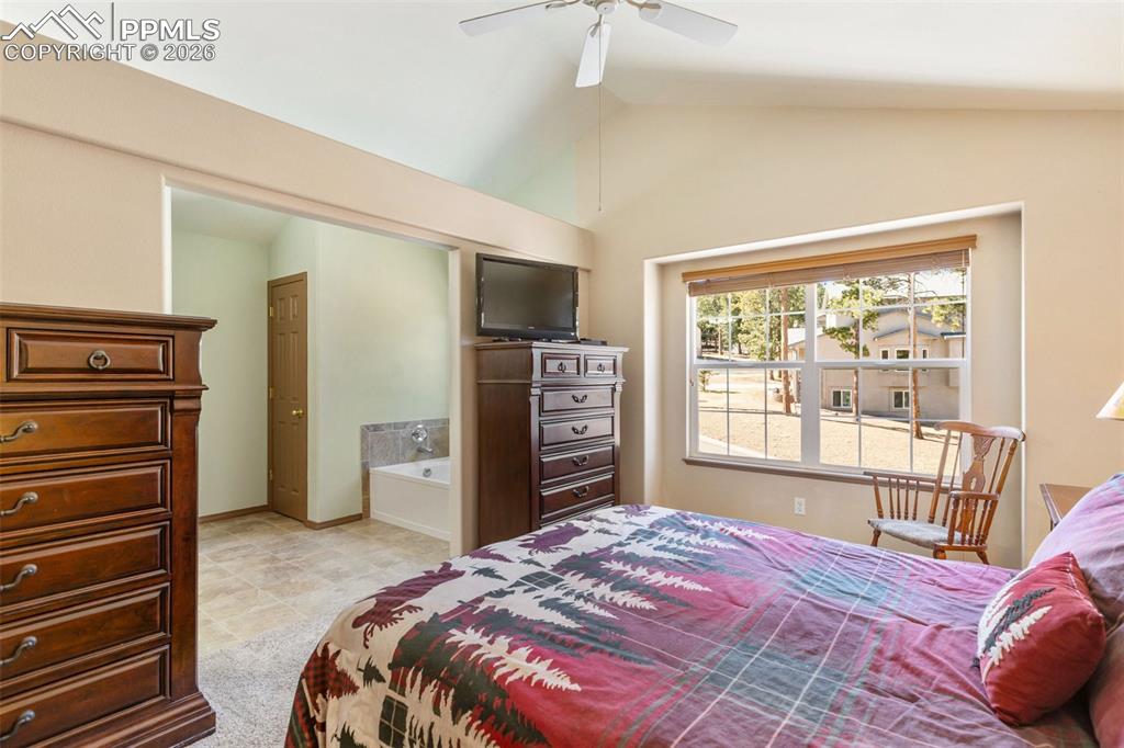 Image 17 of 28: No Description Available