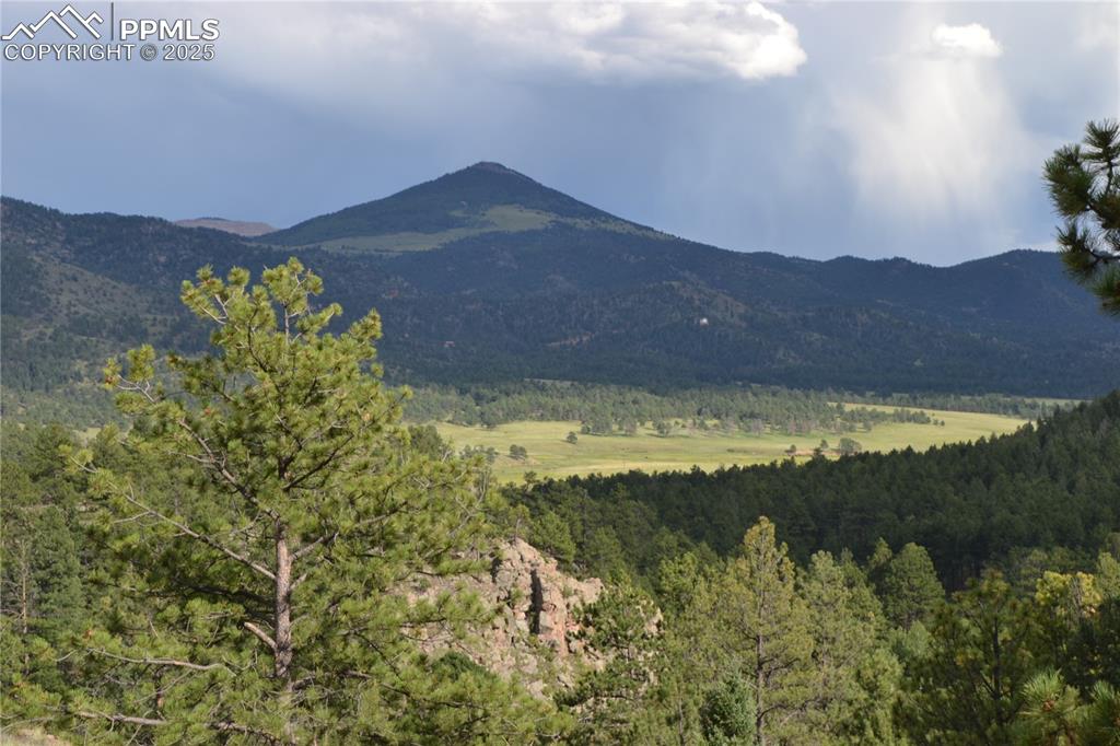 Image 11 of 15: View