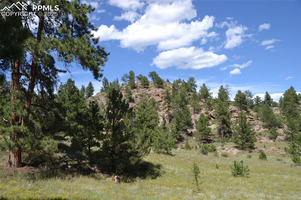 Image 12 of 15: View