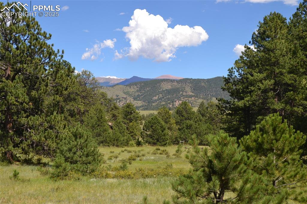 Image 13 of 15: View