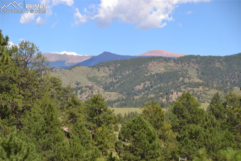 Image 14 of 15: View