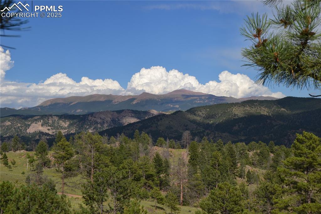 Image 15 of 15: View