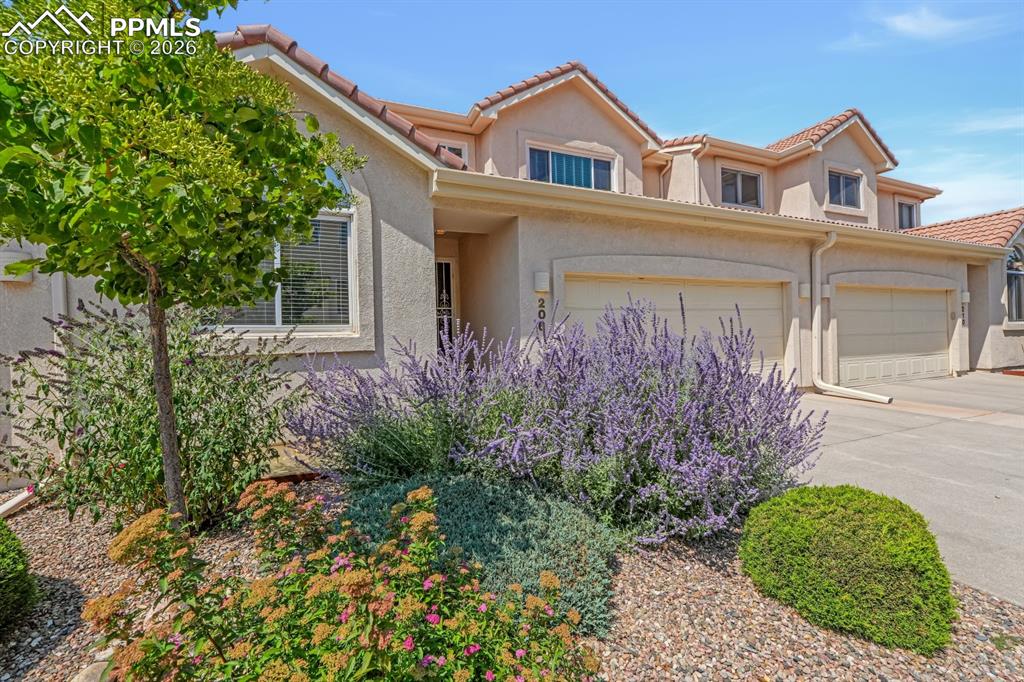 Image 3 of 43: Xeriscape front yard