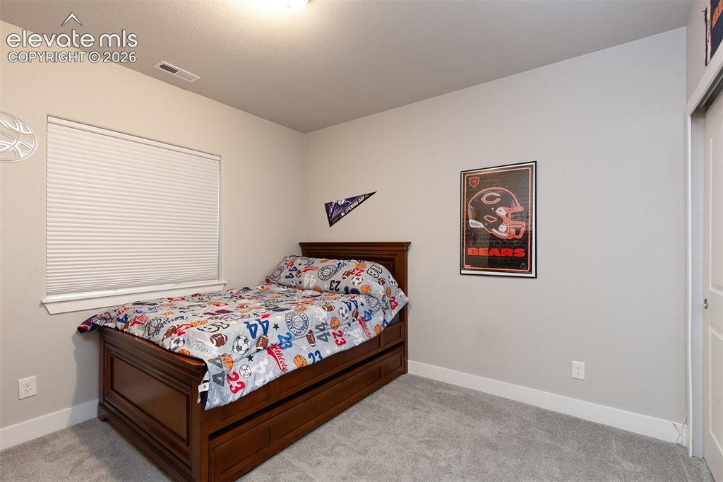 Image 30 of 43: Neutral-toned walls, gray carpeting, and a white window with horizontal bli