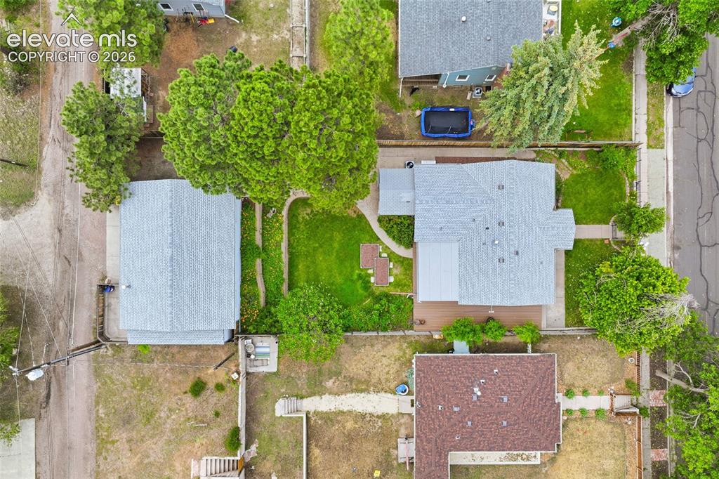 Image 44 of 50: Residential street with various single-story homes, mature trees, and mount