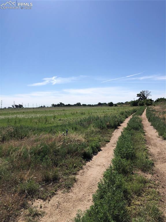Image 23 of 25: East Pasture has a Drip-Irrigation in Place