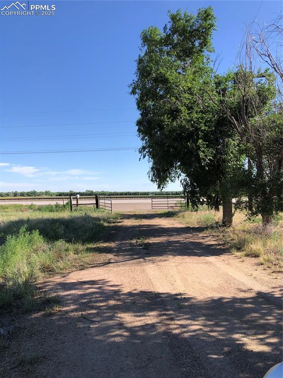 Image 7 of 25: Cool Trees Welcome You Home!!