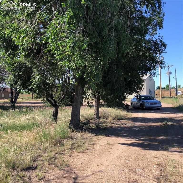 Image 8 of 25: Nice Mature Trees offer Charm to the Entry as well as Cool Shade