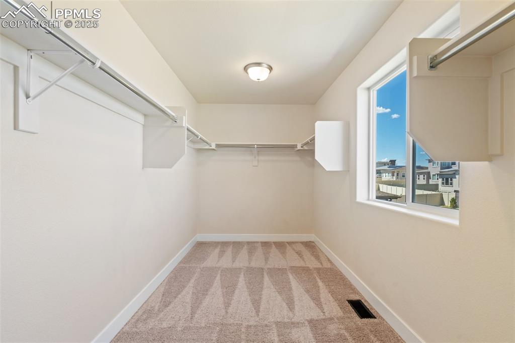 Image 22 of 35: Spacious closet with carpet